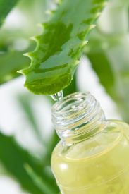 aloe_vera_juice_bottle_cg1p6350491c_th